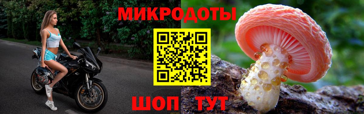 Киржач  Псилоцибиновые грибы мицелий  Вход с VPN  Псилоцибиновые грибы прущие грибы 